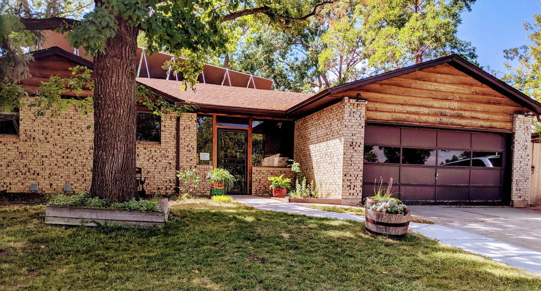 Rustic home surrounded by trees